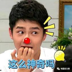 逗尔娱乐吃瓜看点在哪里,揭秘娱乐圈幕后故事